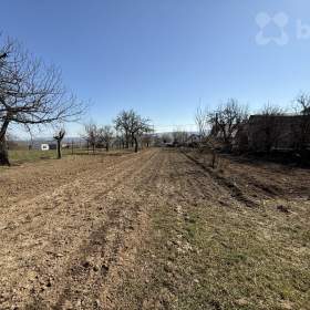 Prodej stavebního pozemku o výměře 1000 m2 v obci Zdislavice, okres Kroměříž / 19402886