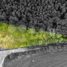 Prodej komerčního pozemku 4 708 m2 / 19403620