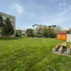 Foto inzerátu Byt 2+1, 47 m2, se zahradou - Olomouc-Nové Sady