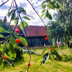 Foto inzerátu Rodinný dům 105 m2, 2+1, pozemek 1313 m2