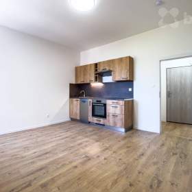 Prodej bytu 1+kk po rekonstrukci, 30 m2 vč. stání u domu / 19449530
