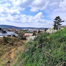 Stavební pozemek 1903 m2 s projektem -  Troubsko u Brna / 19456327