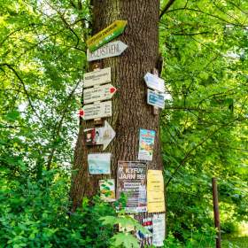 Foto inzerátu Prodej, rekreační chata u Sázavy, Senohraby
