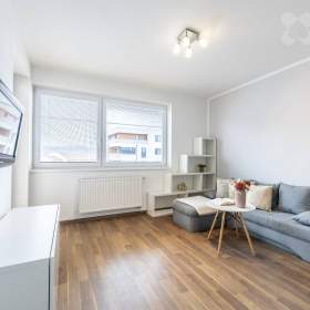 Pronájem bytu 1+kk (30 m² ) s lodžií v Přezleticích / 19461654