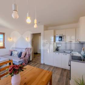 Foto inzerátu Prodej apartmánu 2+kk s terasou, Horní Václavov