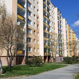 1+KK, 30 m2, Praha 4 -  Chodov, ul. Brodského / 19464210