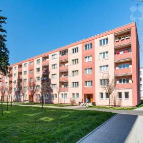 Pronájem bytu 1+1, ul. V domkách 1232/42, Duchcov / 19484193
