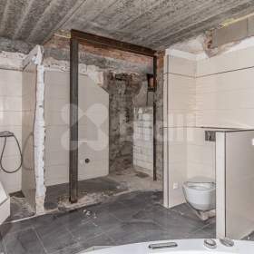 Foto inzerátu Dvougenerační RD 8+2, pozemek 2504m2, Velký Osek