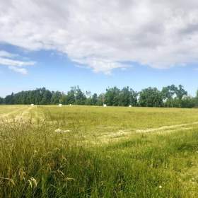 Stavební pozemek Jívová 800 m2 na prodej / 19505233