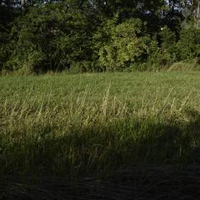 Foto inzerátu Stavební pozemek, Vyšehoří, 1378 m2, okr.Šumperk
