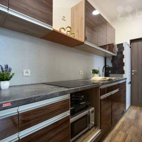 Prodej bytu 2+1 41m2, Kubišova, Praha- Libeň / 19513177