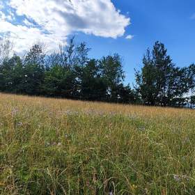 Prodej pozemku pro výstavbu rodinného domu 1437m2 v Krkonoších / 19517447