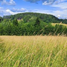Foto inzerátu Prodej pozemku pro výstavbu rodinného domu 1437m2 v Krkonoších