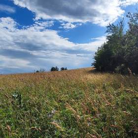 Foto inzerátu Prodej pozemku pro výstavbu rodinného domu 1437m2 v Krkonoších