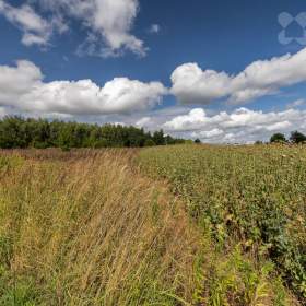 Foto inzerátu Prodej zemědělské půdy Velké Popovice