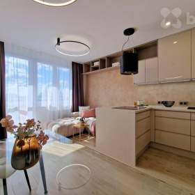 Prodej bytu s balkonem, 3+kk, 62 m2, České Budějovice / 19531543