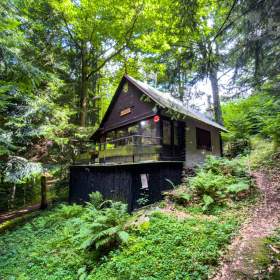 Prodej chaty o velikosti 38 m2 v lese s elektřinou / 19534339