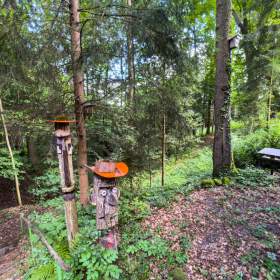 Foto inzerátu Prodej chaty o velikosti 38 m2 v lese s elektřinou