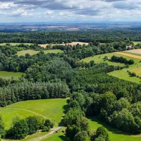 Foto inzerátu Prodej chaty o velikosti 38 m2 v lese s elektřinou