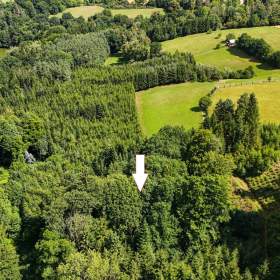 Foto inzerátu Prodej chaty o velikosti 38 m2 v lese s elektřinou