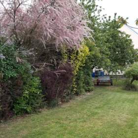 Foto inzerátu Prodej domu 4+1 (96m²) ve Vlkavě