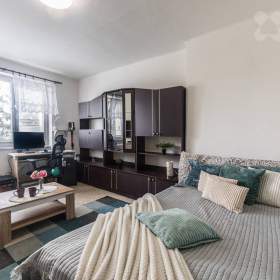 Prodej bytu 1+1, 36,5 m²  -  ulice Pod Lipami, Praha 3 -  Žižkov / 19544392
