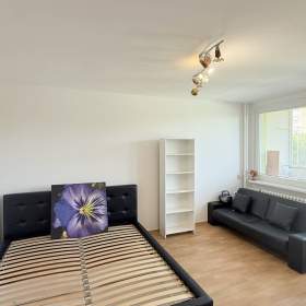 Pronájem garsoniéry o velikosti 27 m2 + zasklená lodžie 5 m2 + sklep 1 m2 / 19546925