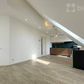 Pronájem bytu 2+kk/ sklep/ 61 m2 -  Studentská ulice, Poděbrady / 19549822