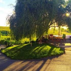 Foto inzerátu Pronájem bytu 1+KK, Zvěrotice , Soběslav