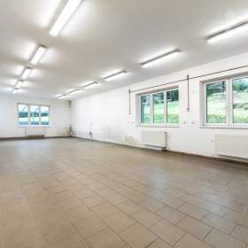 Foto inzerátu Prodej prostorného domu (670 m²) s velkým pozemkem v Dolní Kalné