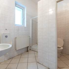 Foto inzerátu Prodej prostorného domu (670 m²) s velkým pozemkem v Dolní Kalné