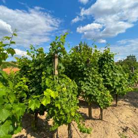 Foto inzerátu Prodej stavebního pozemku v Hovoranech