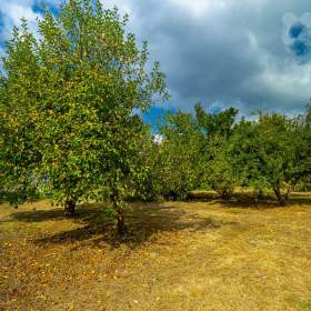 Foto inzerátu Prodej stavebního pozemku 997 m² - Opatov v Čechách