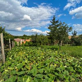 Foto inzerátu Prodej RD v Hovoranech