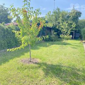 Foto inzerátu Prodej zahrady 209m2, Hradec Králové