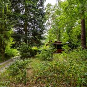 Foto inzerátu Prodej chaty, Žumberk