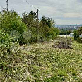 Fotka k inzerátu Prodej zahrady Brno / 19517443