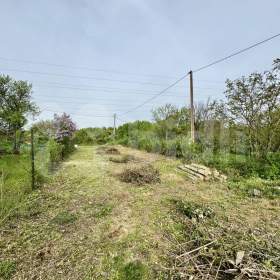 Foto inzerátu Prodej zahrady Brno