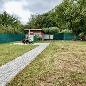 Prodej zahrady 298 m2 s chatkou -  Pardubice, Nové Jesenčany / 19600751