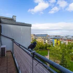 Foto inzerátu Jedinečný byt 3+kk v Praze 4 - Kunraticích