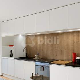 1+kk, 31m2 s balkonem / 19607511