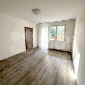 Pronjem bytu 3+1 v České Budějovice, Pražské Předměstí / 19608757