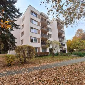 Pronjem bytu 3+1 v České Budějovice, Pražské Předměstí / 19608757