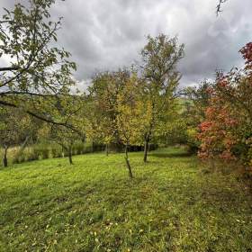 Fotka k inzerátu Prodej zahrady- sadu 1872m2, Soběchleby / 18430421