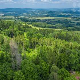 Foto inzerátu Prodej lesního pozemku 7 528m2 - Chuchelna | Klid, polosamota, investiční příležitost