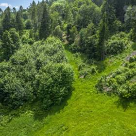 Foto inzerátu Prodej lesního pozemku 7 528m2 - Chuchelna | Klid, polosamota, investiční příležitost