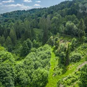 Foto inzerátu Prodej lesního pozemku 29 930 m2 - Chuchelna | Rozsáhlý les, klid a soukromí, přístup zajištěn
