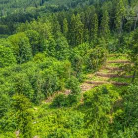 Foto inzerátu Prodej lesního pozemku 29 930 m2 - Chuchelna | Rozsáhlý les, klid a soukromí, přístup zajištěn