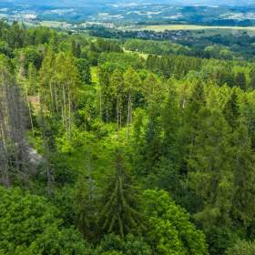 Foto inzerátu Prodej lesního pozemku 29 930 m2 - Chuchelna | Rozsáhlý les, klid a soukromí, přístup zajištěn