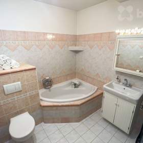 Foto inzerátu Prodej mimořádného RD 5+1 a dva samostatné apartmány i vinný sklep, pozemek 1 057 m2, Velké Bílovic